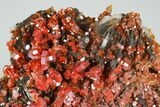 Ruby Red Vanadinite Crystals on Pink Barite - Top Quality #178098-2